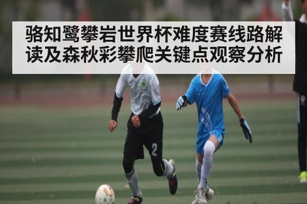 骆知鹭攀岩世界杯难度赛线路解读及森秋彩攀爬关键点观察分析